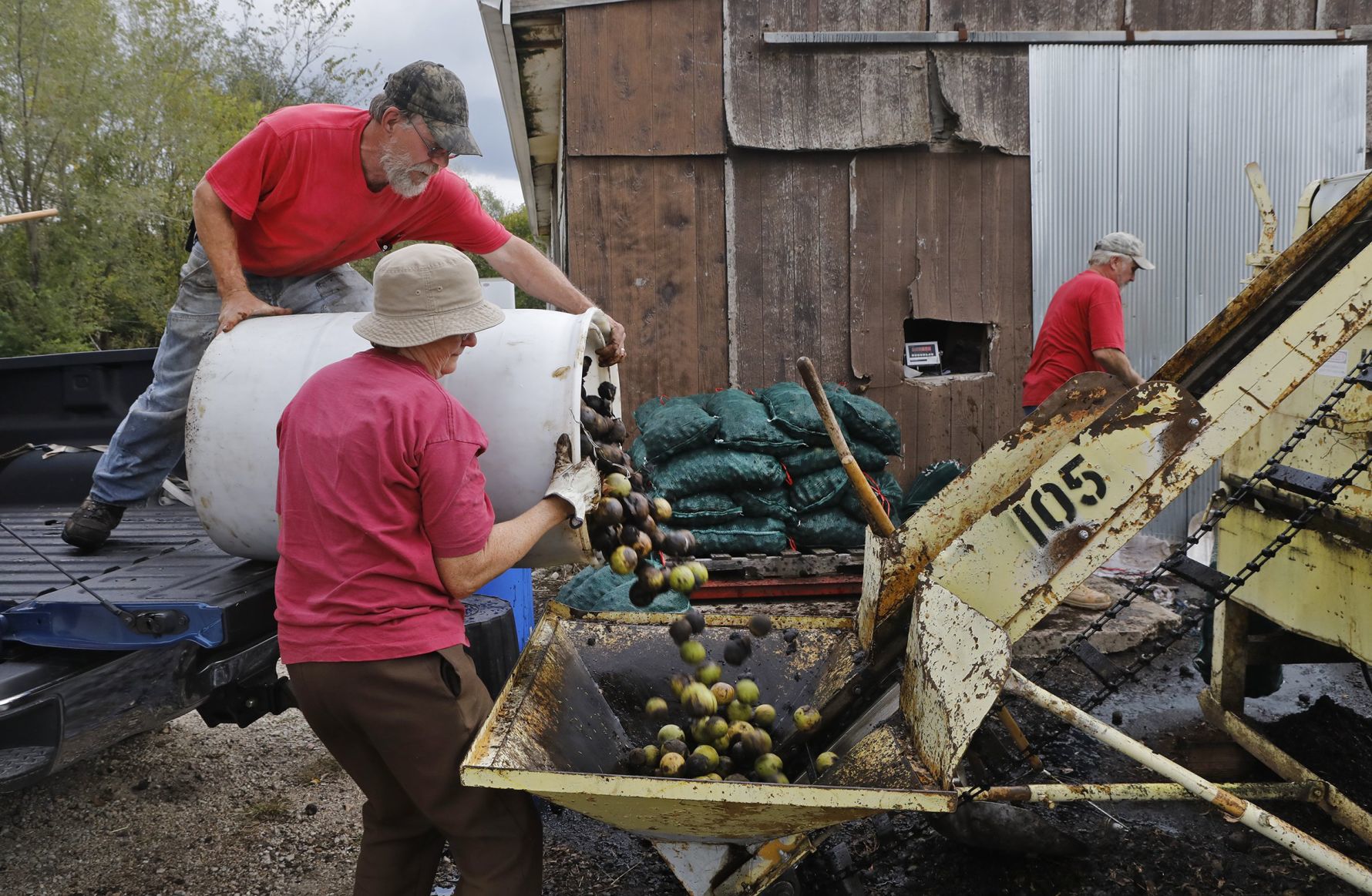 Missouriโs black walnut harvest